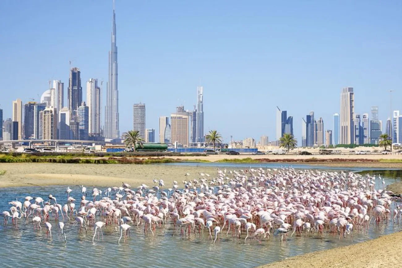 Ras Al Khor Wildlife Sanctuary